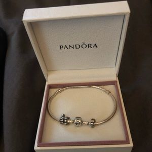 Pandora Starter Charm Bracelet